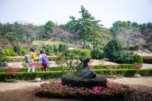 Camellia Hill